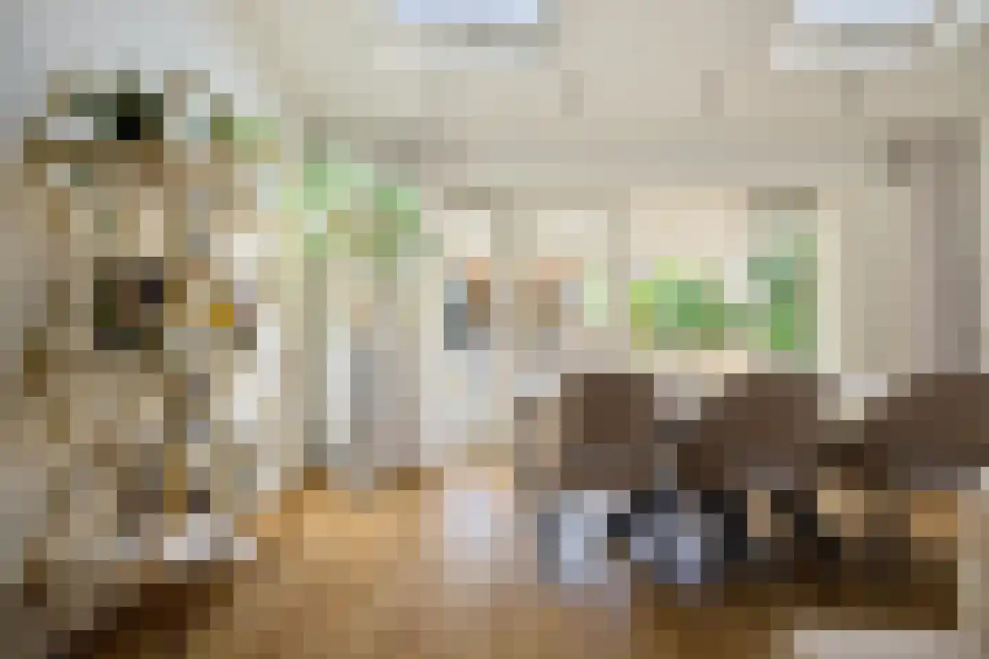 Buitenweg 63 Maarssen thumbnail 9