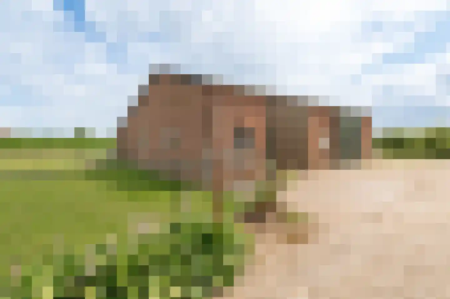 Buitenweg 74 Maurik thumbnail 6