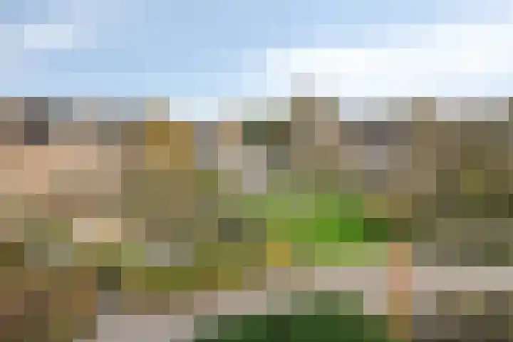 Buitenweg 84 Maarssen thumbnail 21