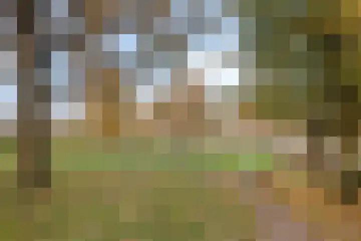 Buitenweg 84 Maarssen thumbnail 29