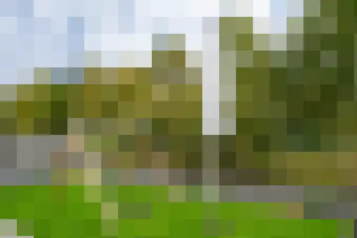Buitenwiek 38 Weert thumbnail 27