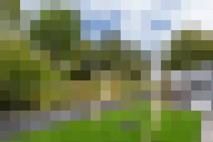 Buitenwiek 38 Weert thumbnail 28