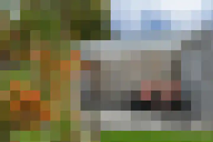 Buitenwiek 38 Weert thumbnail 29