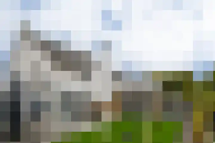 Buitenwiek 38 Weert thumbnail 31