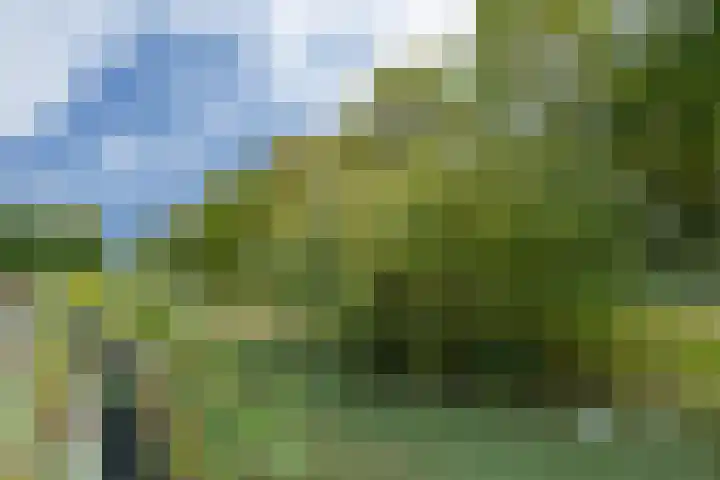 Buitenwiek 38 Weert thumbnail 32