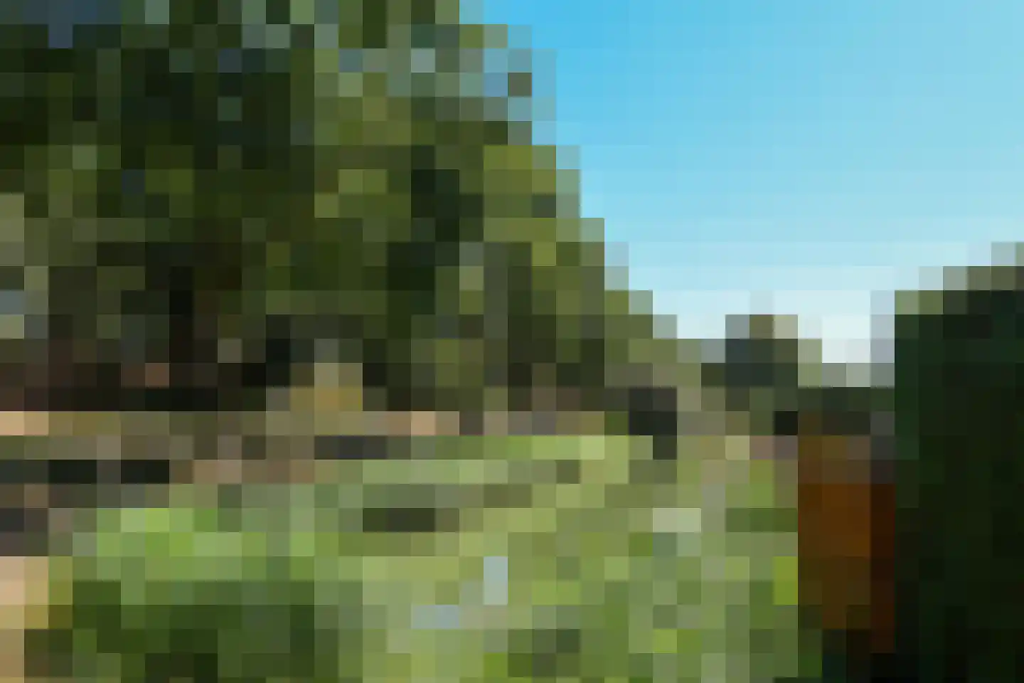 Buitenwiek 48 Weert thumbnail 41