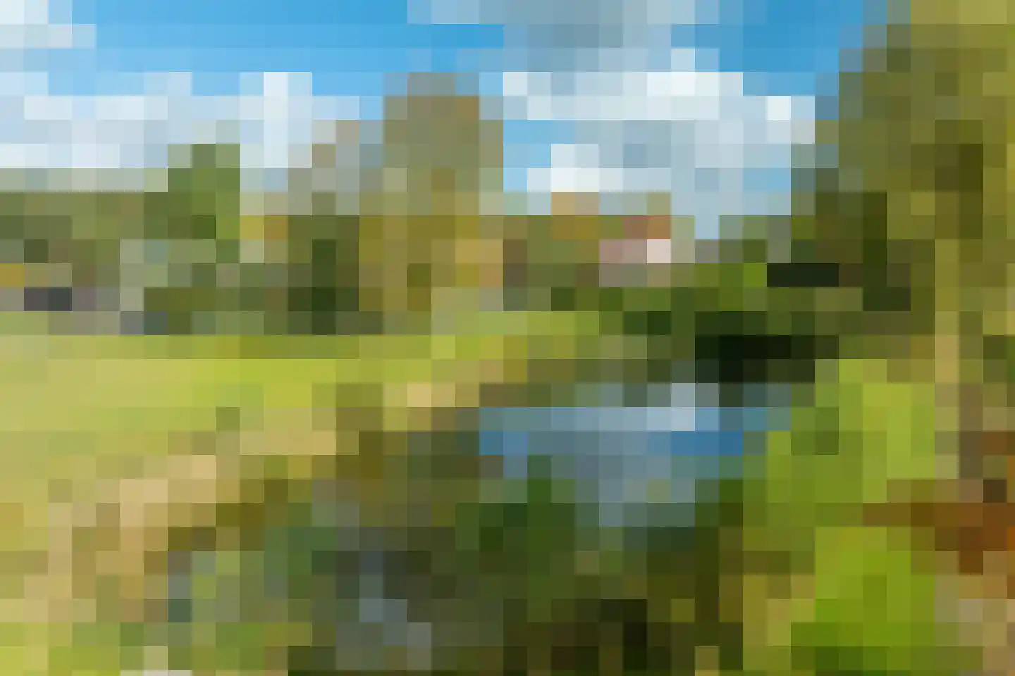 Buitenwolde 11 Paterswolde thumbnail 18