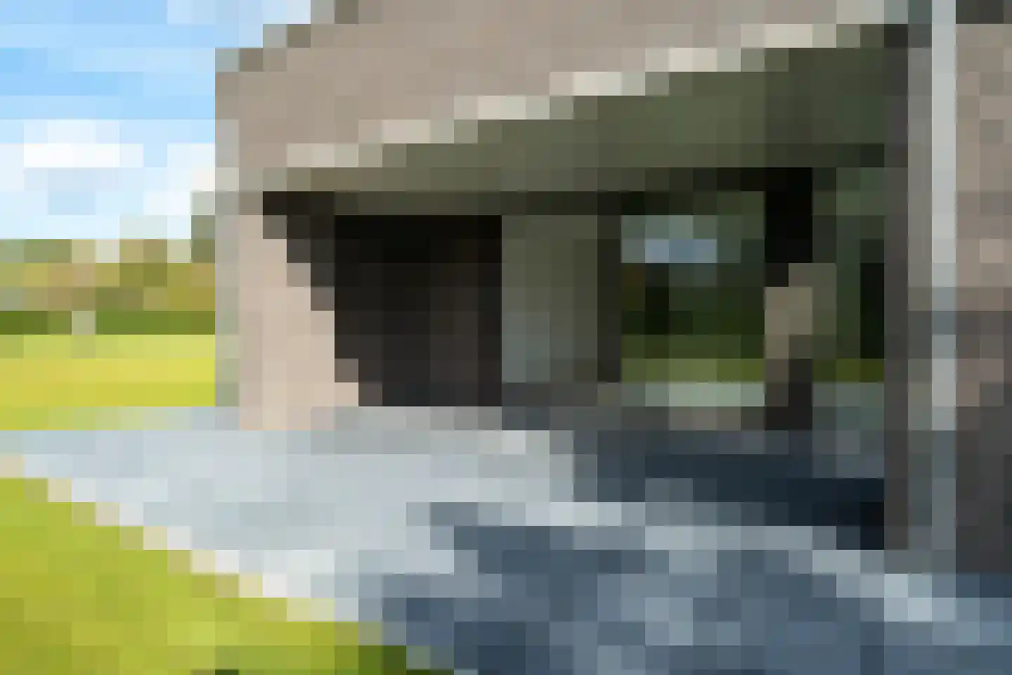 Buitenwolde 11 Paterswolde thumbnail 31