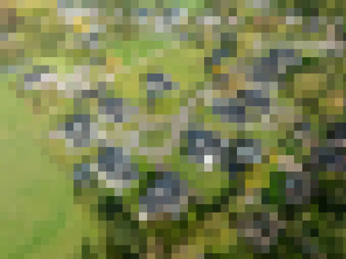 Buitenwolde 11 Paterswolde thumbnail 61