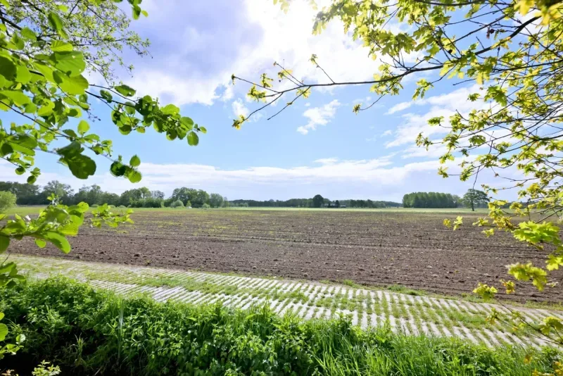 Kantoor foto van Buitenwonen