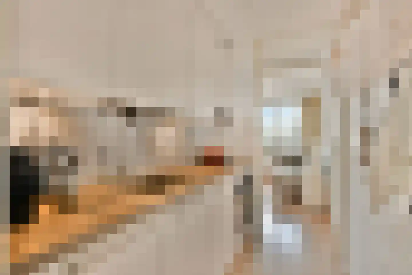 Buitenzagerij 41 Amsterdam thumbnail 10