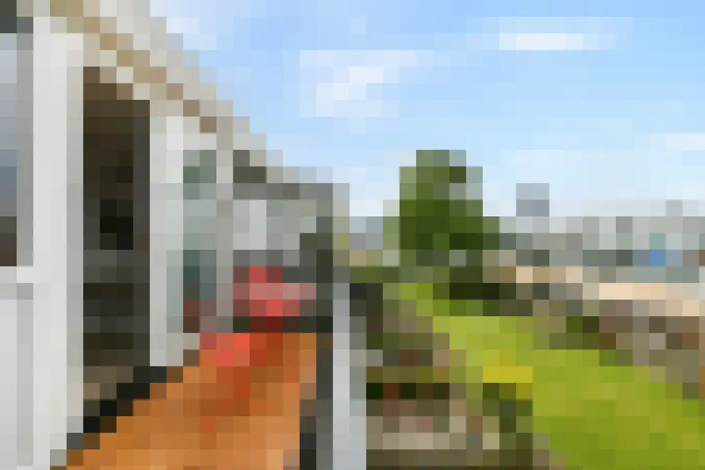 Buitenzagerij 41 Amsterdam thumbnail 4