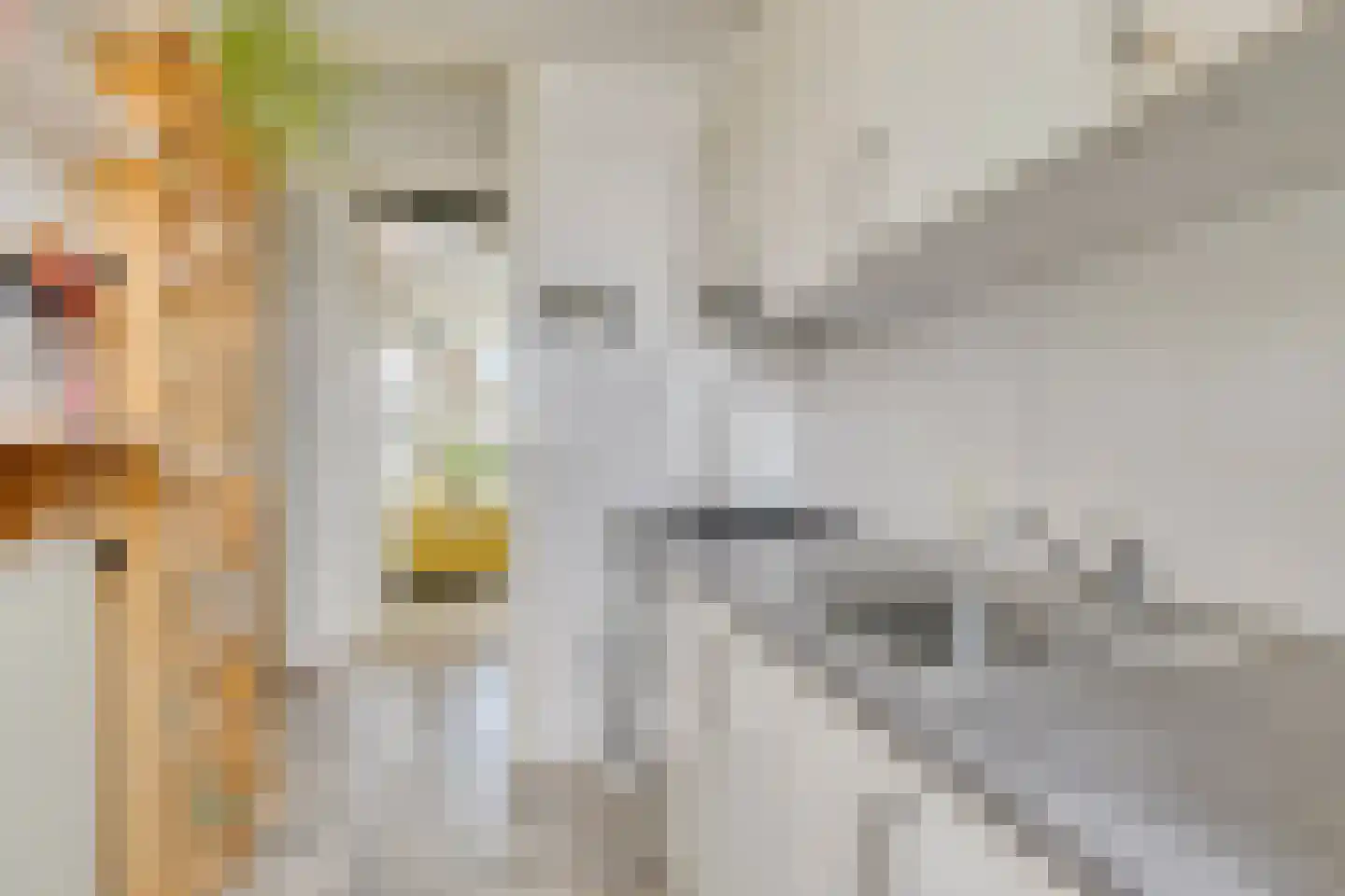 Buitenzagerij 59 Amsterdam thumbnail 11