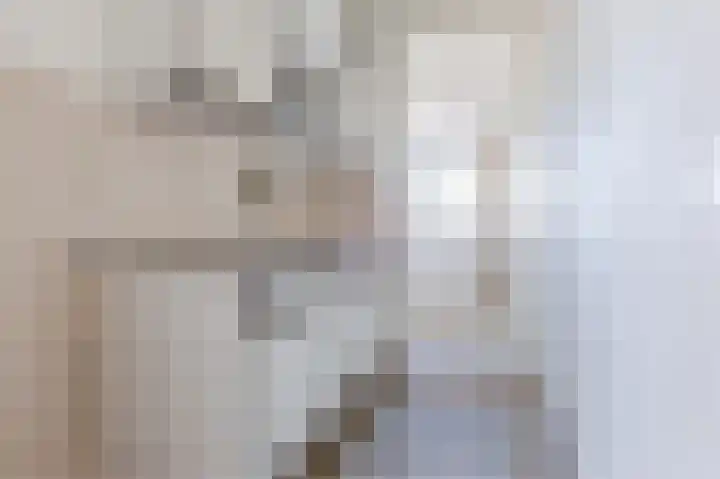 Buitenzagerij 60 Amsterdam thumbnail 4