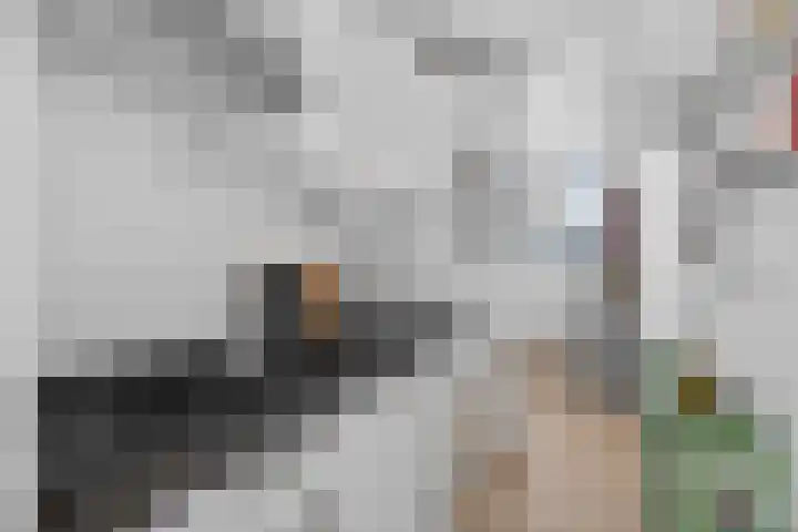 Buitenzagerij 8 Amsterdam thumbnail 12