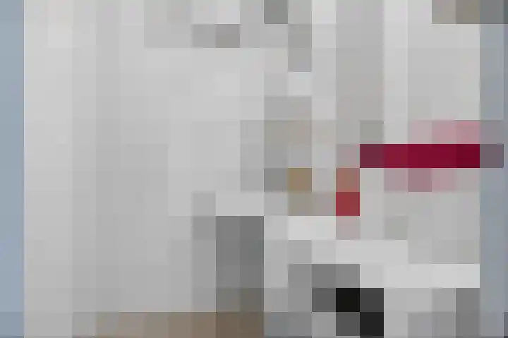 Buitenzagerij 8 Amsterdam thumbnail 15