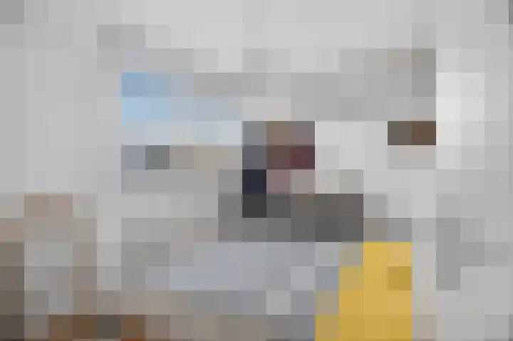 Buitenzagerij 8 Amsterdam thumbnail 17
