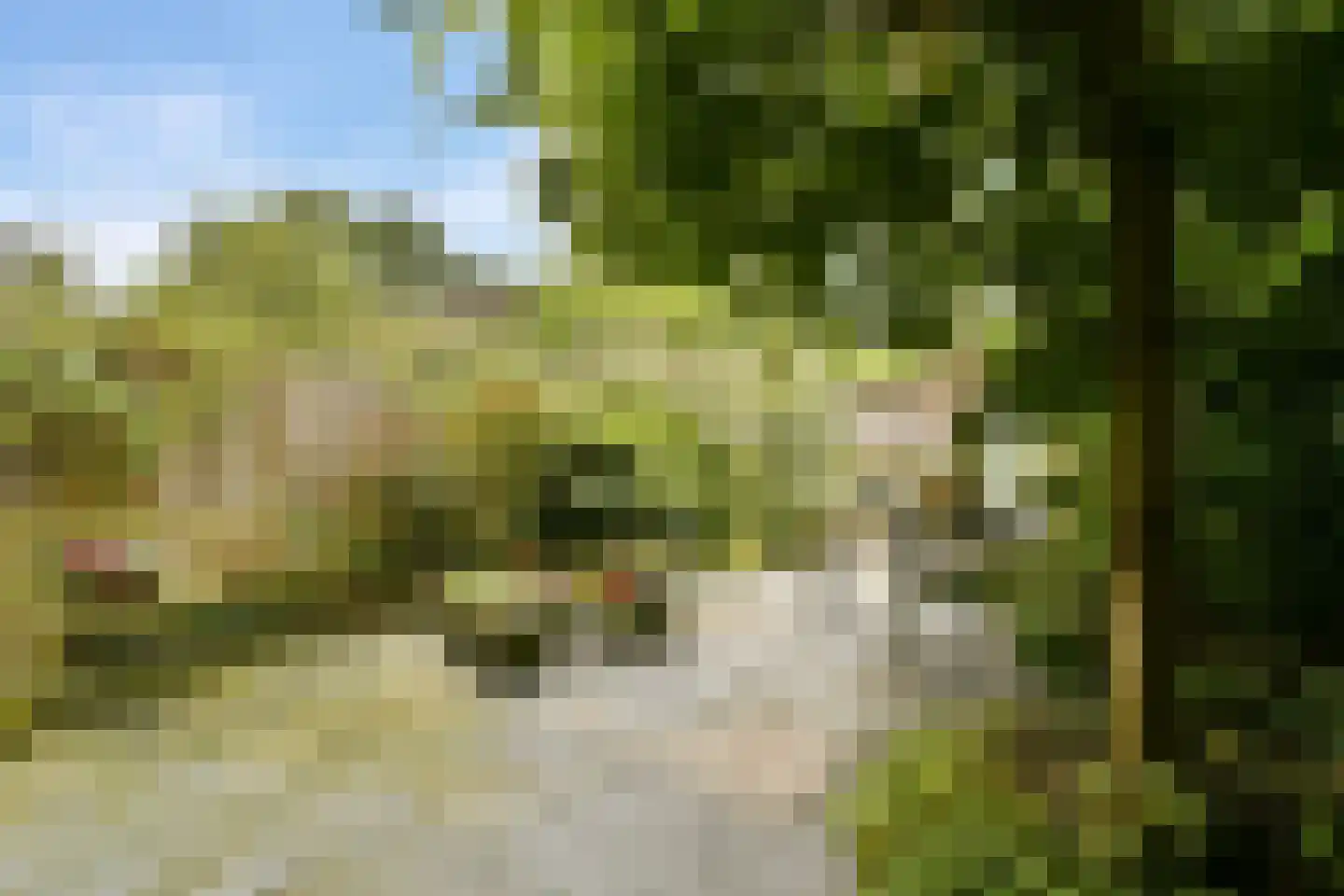 Buitenzorg 18 Amstelveen thumbnail 10