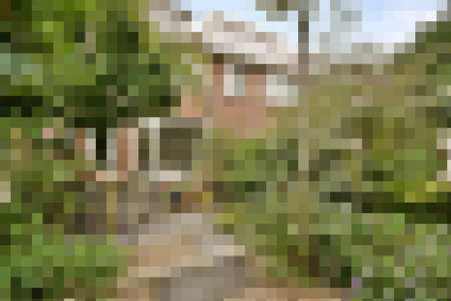 Buitenzorg 18 Amstelveen thumbnail 12