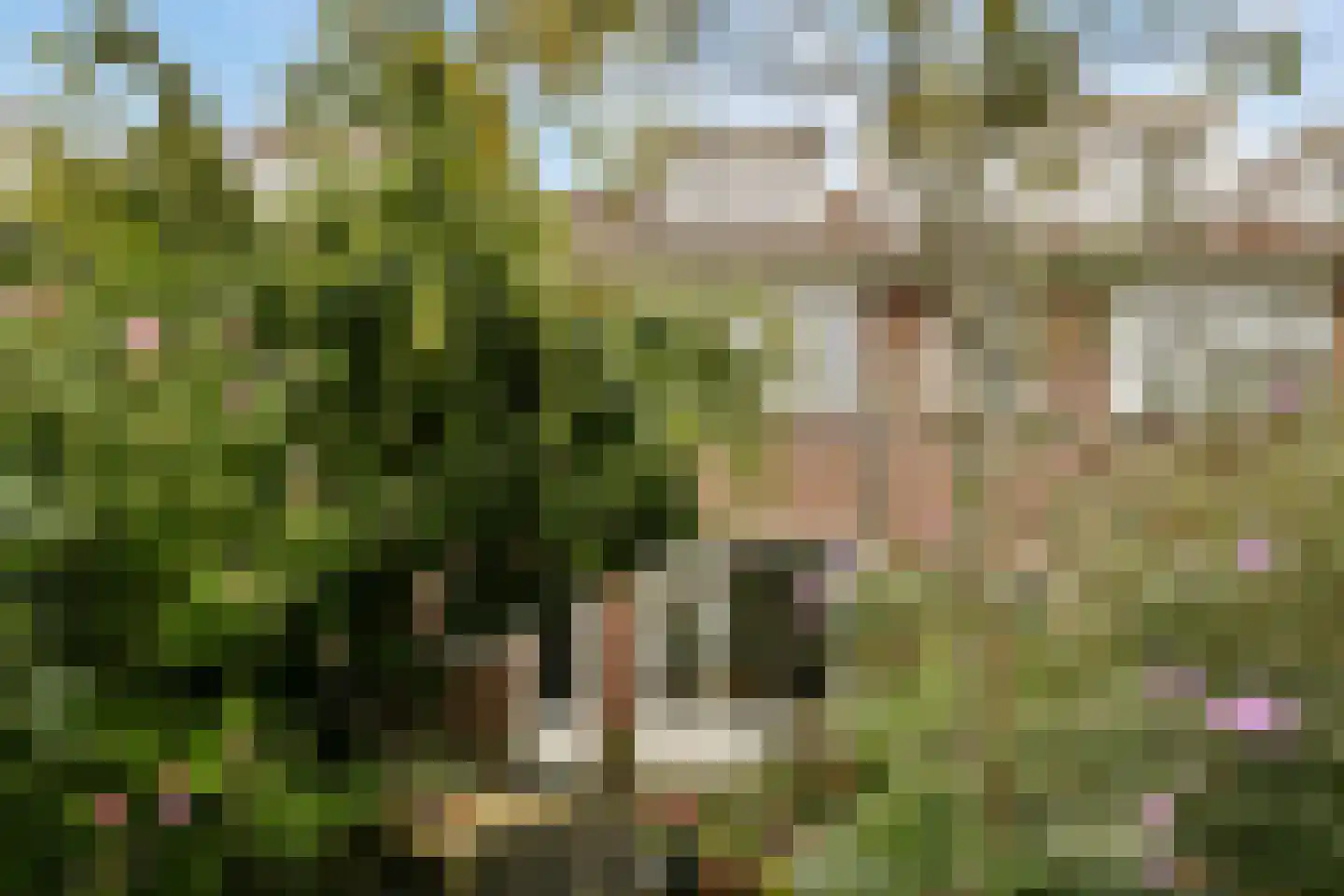 Buitenzorg 18 Amstelveen thumbnail 13