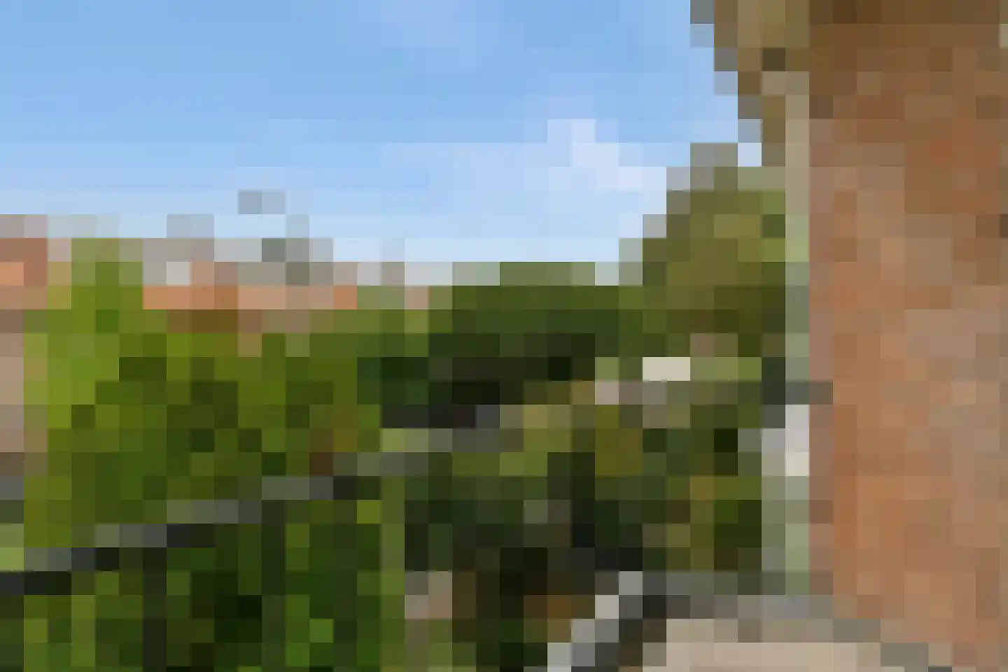 Buitenzorg 18 Amstelveen thumbnail 23