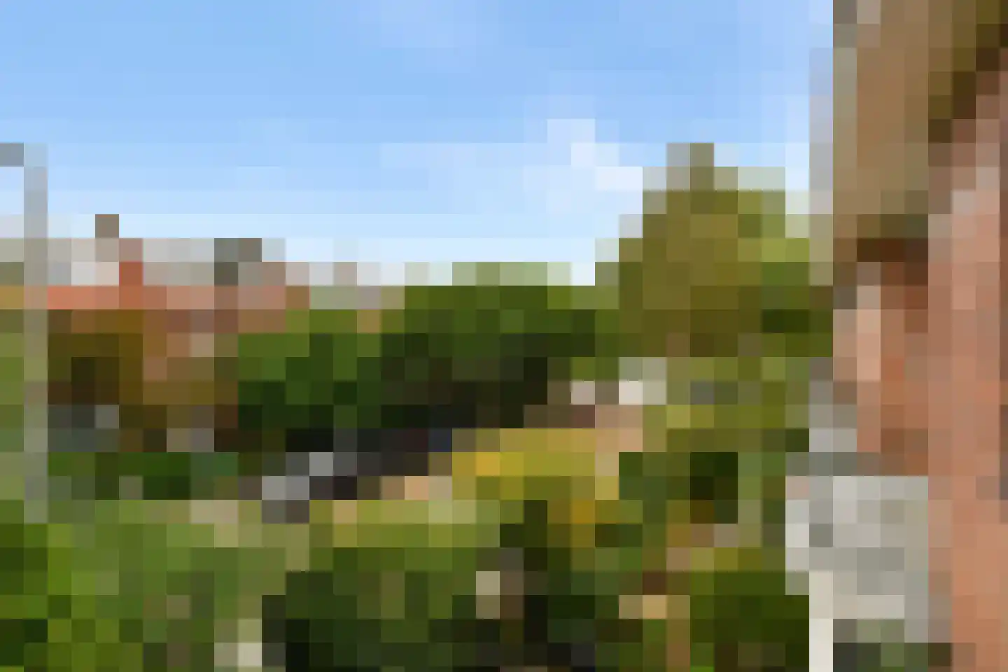 Buitenzorg 18 Amstelveen thumbnail 25