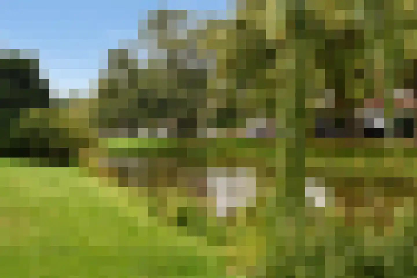 Buitenzorg 18 Amstelveen thumbnail 32