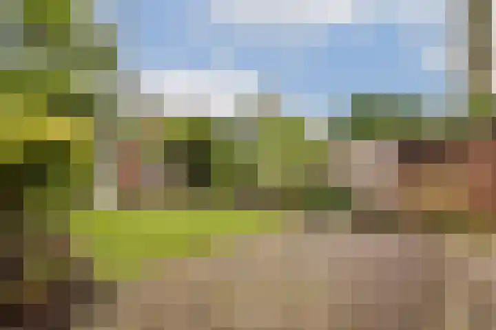 Buitenzorg 20 Amstelveen thumbnail 12