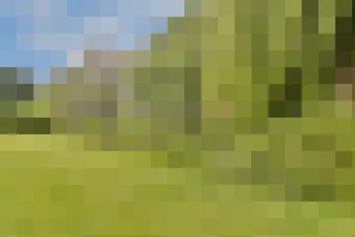 Buitenzorg 20 Amstelveen thumbnail 29