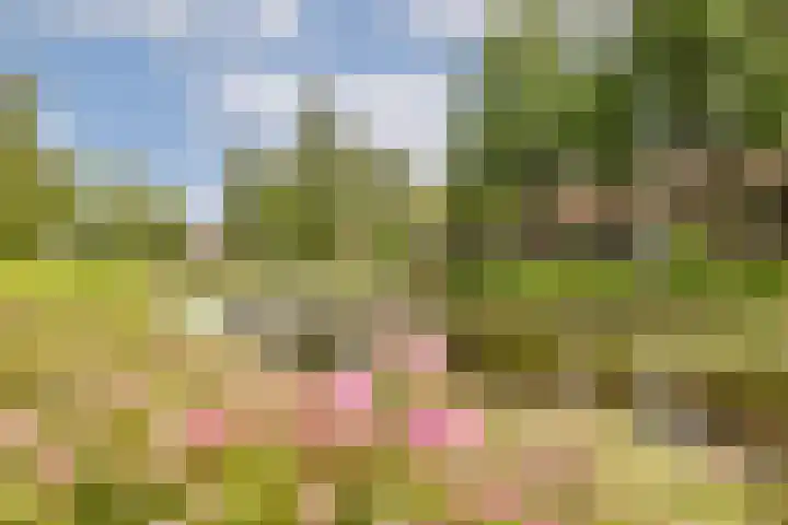 Buitenzorg 20 Amstelveen thumbnail 31
