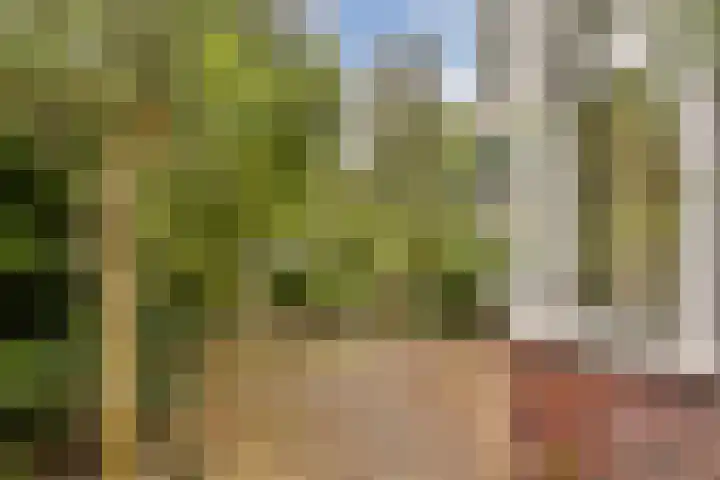 Buitenzorg 20 Amstelveen thumbnail 4