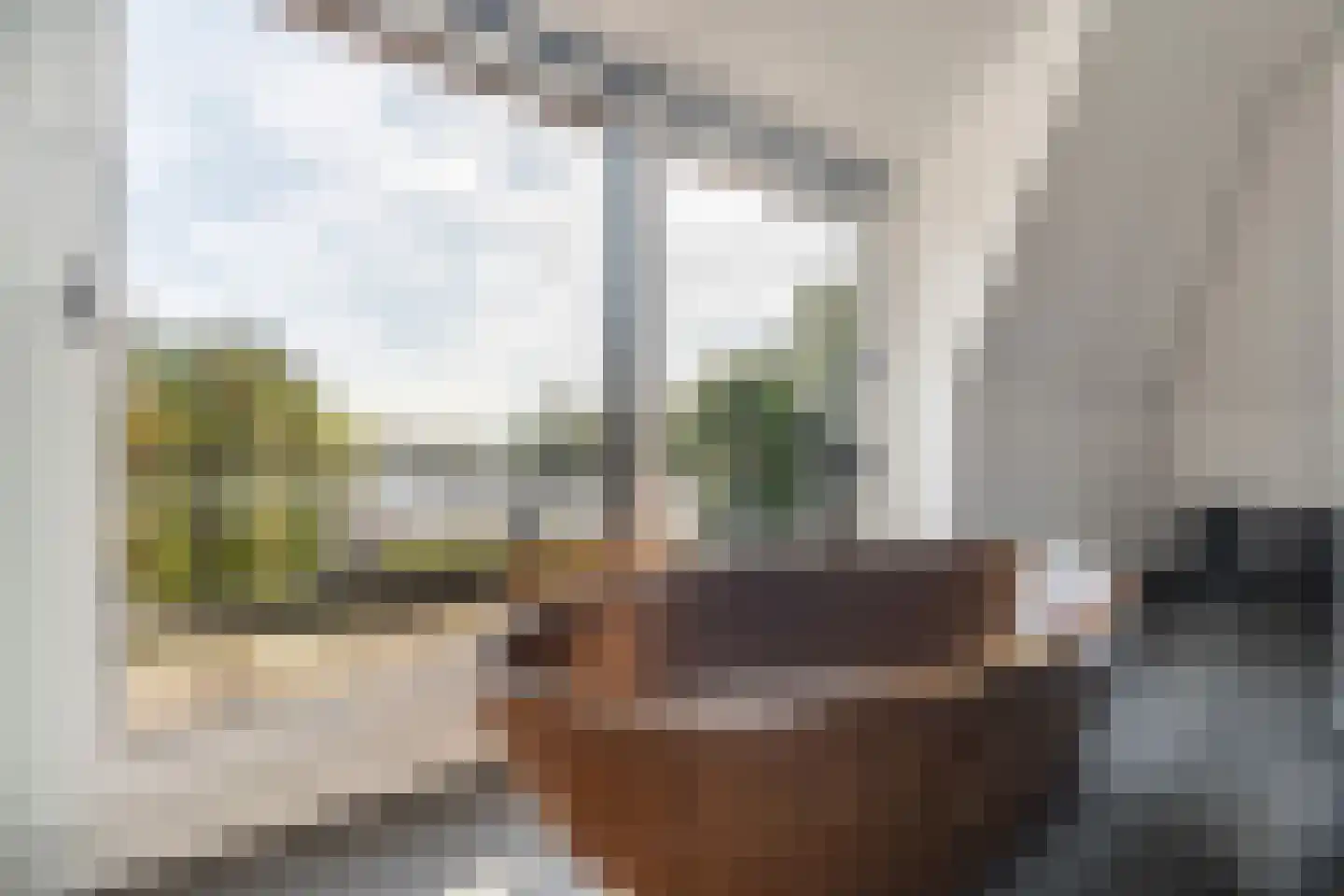 Buitenzorg 23 Rotterdam thumbnail 28