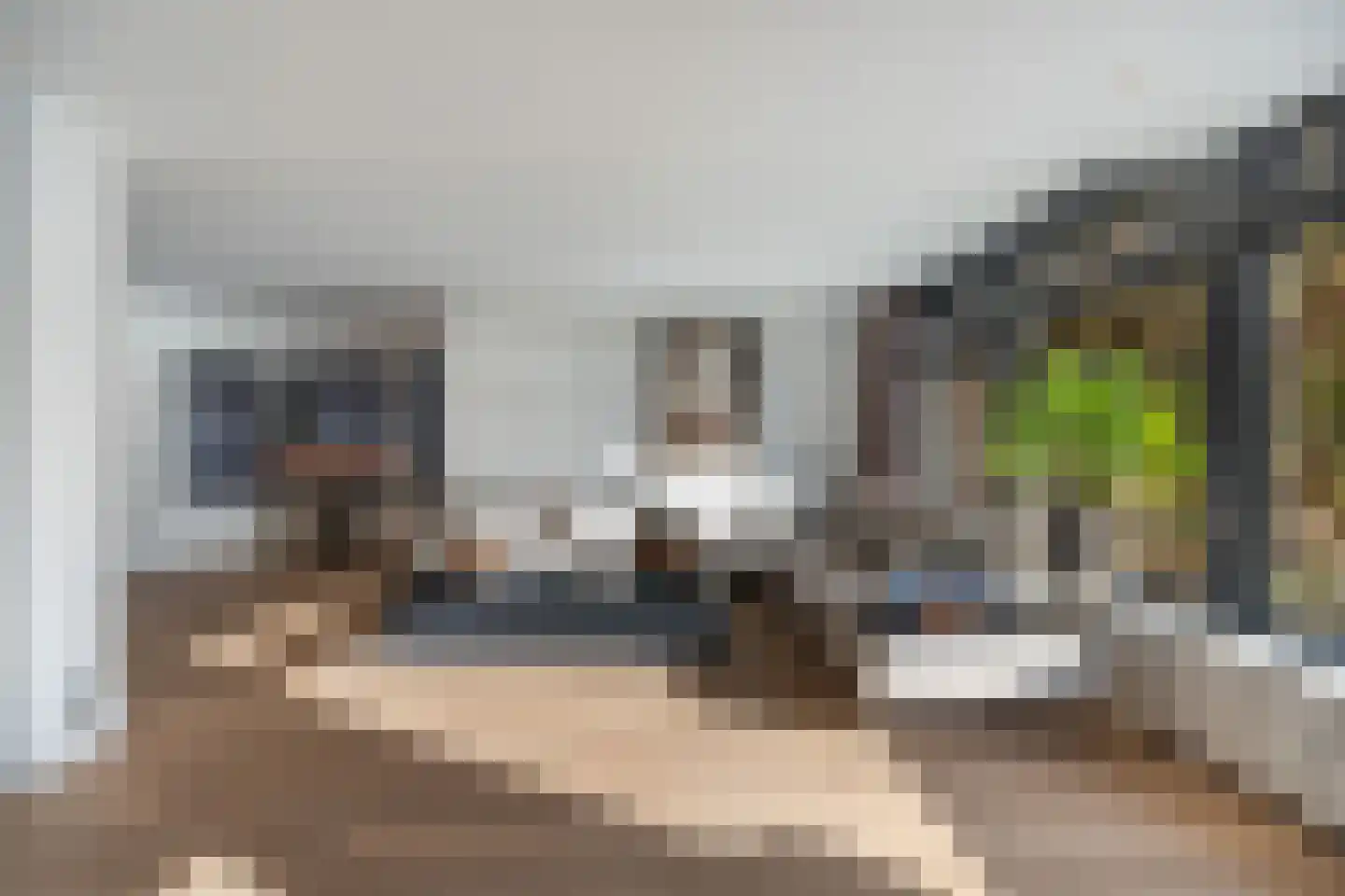 Buitenzorg 23 Rotterdam thumbnail 4