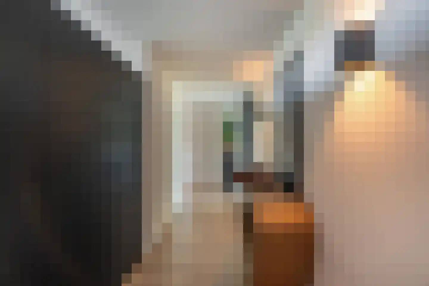Buitenzorg 23 Rotterdam thumbnail 7