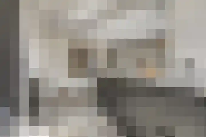Buitenzorglaan 18 Ede thumbnail 11