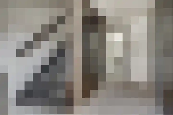Buitenzorglaan 18 Ede thumbnail 15