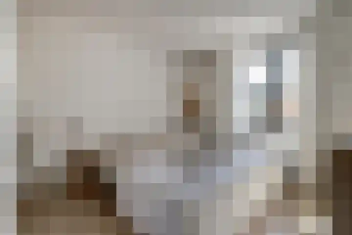 Buitenzorglaan 18 Ede thumbnail 23