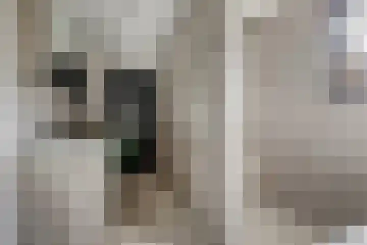 Buitenzorglaan 18 Ede thumbnail 27