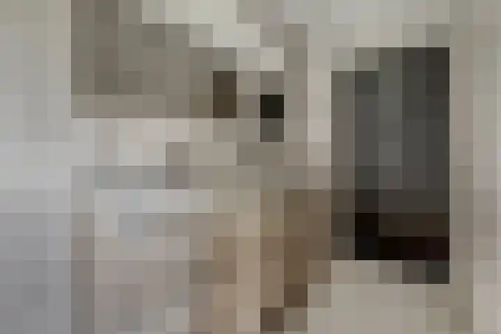 Buitenzorglaan 18 Ede thumbnail 28