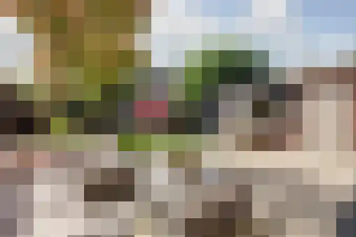 Buitenzorglaan 18 Ede thumbnail 36