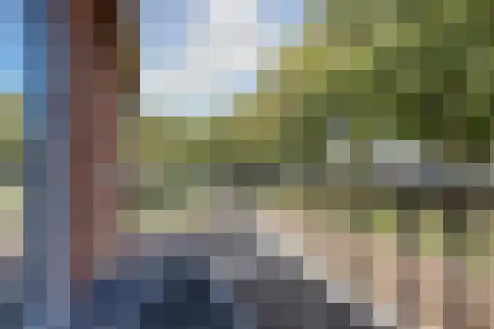 Buitenzorglaan 18 Ede thumbnail 41