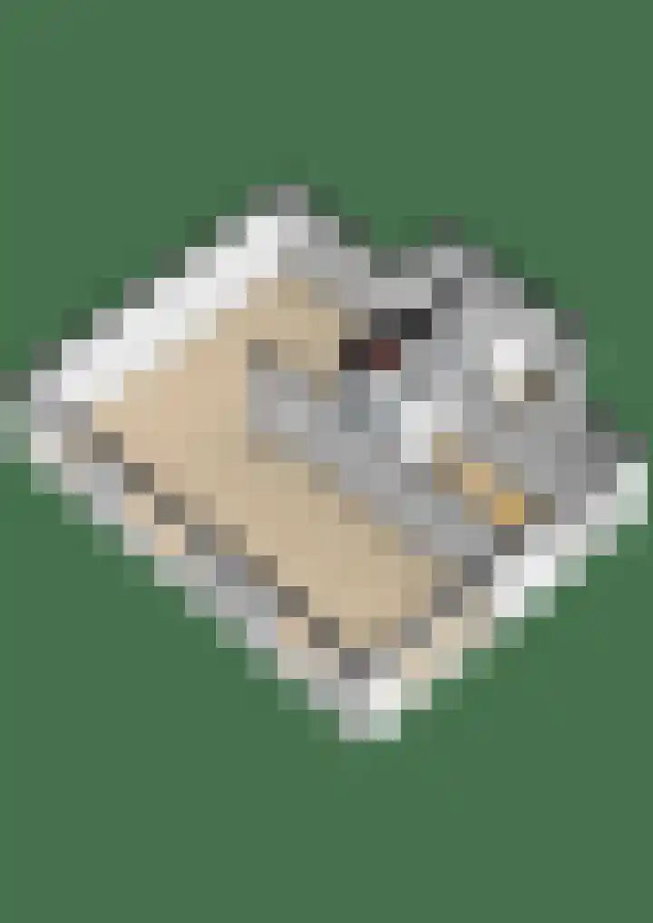 Buitenzorglaan 18 Ede thumbnail 52