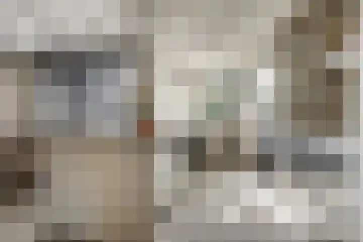 Buitenzorglaan 18 Ede thumbnail 8