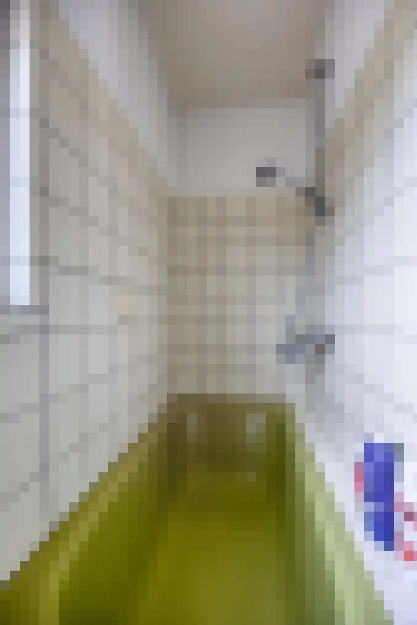 Buizenberg 11 Vianen NB thumbnail 13