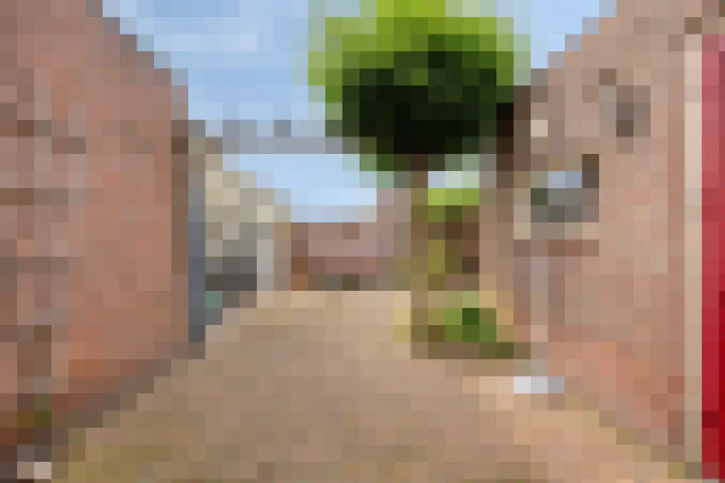 Buizenberg 11 Vianen NB thumbnail 16