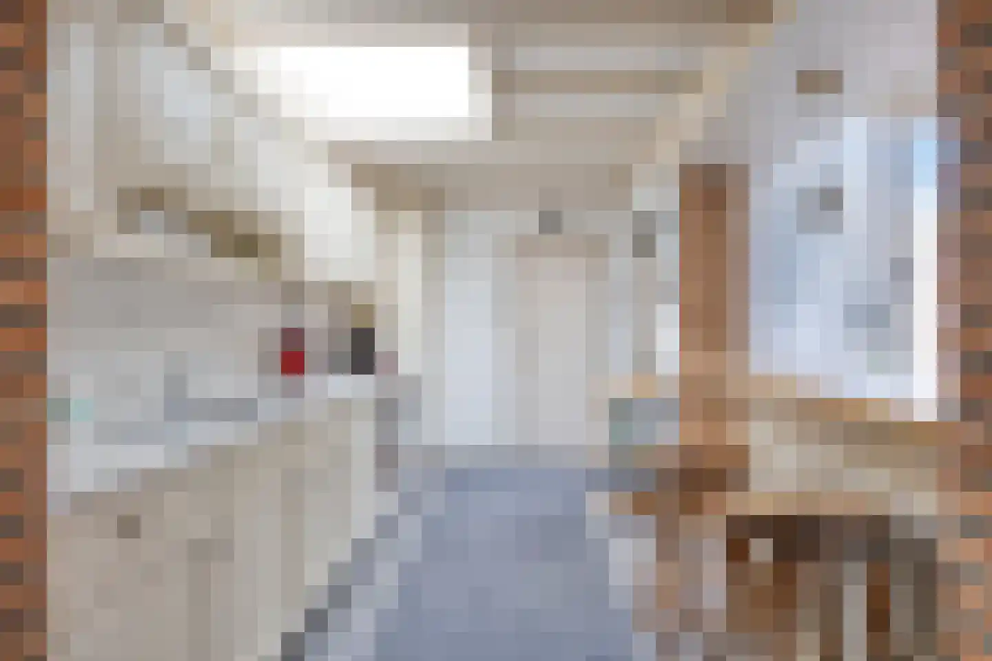 Buizenberg 11 Vianen NB thumbnail 9
