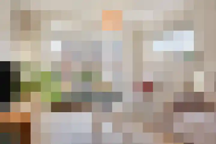 Buizenberg 25 Vianen NB thumbnail 11