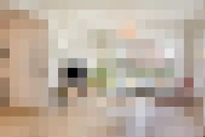 Buizenberg 25 Vianen NB thumbnail 15