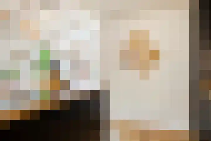 Buizenberg 25 Vianen NB thumbnail 25