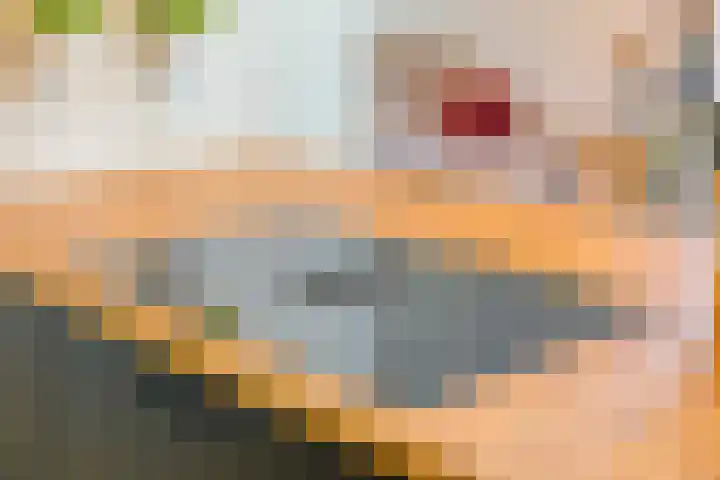 Buizenberg 25 Vianen NB thumbnail 26